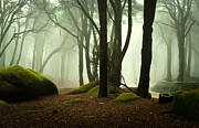 The elf world Photograph by Jorge Maia