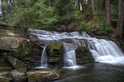 The Falls at Bowen Park Photograph by Kathy Paynter The Falls at Bowen Park Photograph by Kathy Paynter