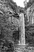 The Falls from the Trail Bridge Photograph by Monroe Payne