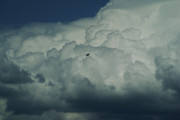 The Great Escape Photograph by Linda Shafer