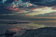 The Heat of the Night Photograph by Laurie Search