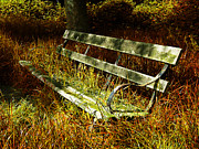 The Hidden Bench Photograph by Mark Rogan