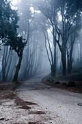 The last road Photograph by Jorge Maia