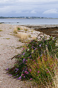 The Long Walk Photograph by Laura Tucker