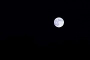 The Moon Photograph by Alexander Fedin
