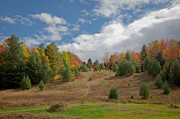 The Old Maple Ridge Ski Slope Photograph by David Patterson