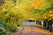 The Tracks Painting by Kirt Tisdale