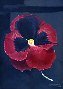 The Pansy Painting by Katherine Miller