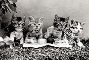 The Picnic in 1914 Photograph by Science Source