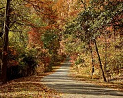 The Road Not Taken Photograph by Kathi Isserman