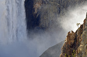 The Sentinel of the Lower Falls Photograph by Bruce Gourley