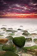 The shape of my heart Photograph by Jorge Maia