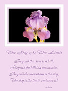 The Sky Is The Limit V 10 Photograph by Andee Design