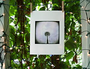 The Space Needle Photograph by Sharon Popek