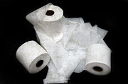 The Spare Rolls 3 - Toilet Paper - Bathroom Design - Restroom - Powder Room Photograph by Andee Design