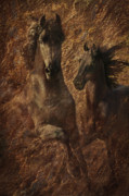 The Spirit of Black Sterling Photograph by Melinda Hughes-Berland