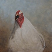 The Squawker Painting by Tammy Taylor The Squawker Painting by Tammy Taylor