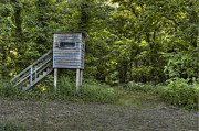 The Stand Photograph by DArcy Evans