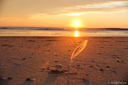 The Sunrise Story Photograph by Robert Banach