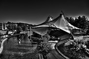 The Tennessee Amphitheater Photograph by David Patterson