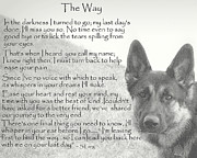 The Way Photograph by Sue Long