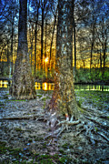 Thirsty Photograph by Ken Johnson