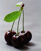 Three Cherries On A Stem Photograph by Romulo Yanes