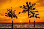Three Palms Golden Sunset in Hawaii Photograph by Aloha Art