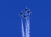 Thunderbirds Straight Up Photograph by Donna Corless