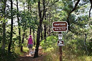 Tick Warning Sign On Hiking Trail Photograph by Science Photo Library