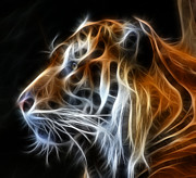 Tiger Fractal Photograph by Shane Bechler Tiger Fractal Photograph by Shane Bechler