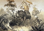 Tiger Hunting In India Photograph by Science Photo Library