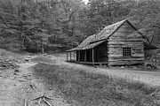 Tired and Weathered Photograph by Jon Glaser