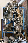 Traditional Bolivian Medicines Photograph by Science Photo Library