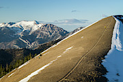 Trail Running In The Bridger Range Photograph by Jason Thompson Trail Running In The Bridger Range Photograph by Jason Thompson