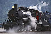 Train On The White Pass And Yukon Route Photograph by David Weintraub
