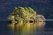 Tree island Loch Lomond Photograph by Grant Glendinning Tree island Loch Lomond Photograph by Grant Glendinning