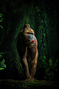 Trees And Beasts! Photograph by Isma Yunta