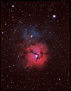 Trifid Nebula Photograph by Science Photo Library