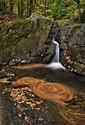 Triple Swirls Photograph by Susan Candelario Triple Swirls Photograph by Susan Candelario
