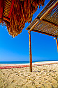 Tropical Beach 7 Photograph by Mel Ashar