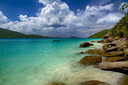 Tropical Beach 8 Photograph by Mel Ashar