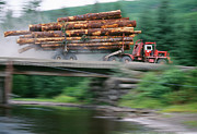 Truck Carries Felled Logs Photograph by Science Photo Library