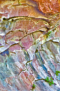 Trumpet Abstract Photograph by Mae Wertz Trumpet Abstract Photograph by Mae Wertz