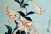 Trumpet Lilies Painting by Hokusai