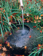 Tsukubai Stone Basin Photograph by Tomomi Saito