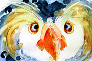 Tufted Puffin Painting by Dawn Derman Tufted Puffin Painting by Dawn Derman