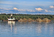 Tug boat and barge Photograph by Ron Roberts
