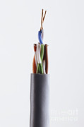 Twisted-pair Cabling Photograph by Dorling Kindersley