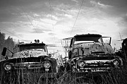 Two Ford's Photograph by Stacy Abbott